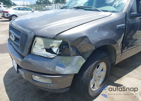 2005 Ford F-150 Stx/Xlt z USA, uszkodzony, nr VIN 1FTRF02295KE56711